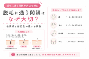 脱毛に通う間隔が大切な理由を解説｜毛周期と部位ごとの毛の生え方の違い｜豊橋市の美容脱毛・メンズ脱毛サロン